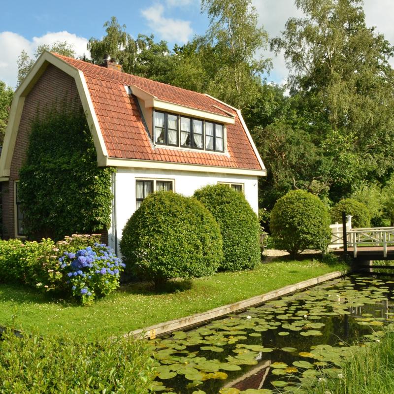 wateroverlast in tuin voorkomen groen